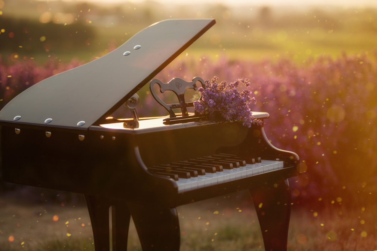 A beautiful black grand piano, standing in a lavender field